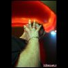 bujacze_com_arkadia_klub_23_10_2008_dj_digital-milo_54.jpg